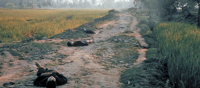 My Lai Massacre
