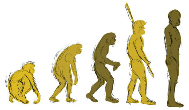 Teoria Evolucionista