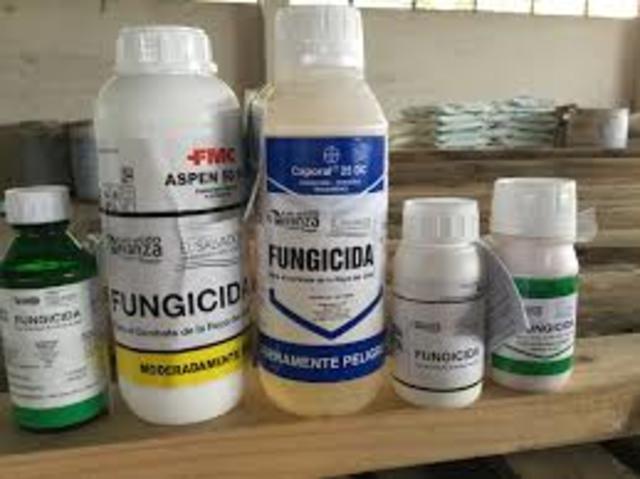 Tisdale. Primer fungicida.