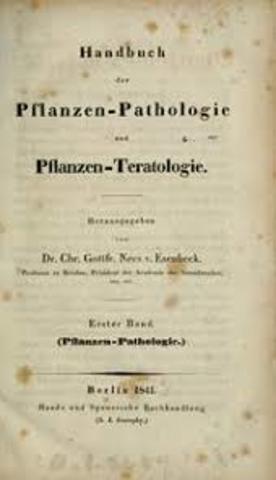 “Pflanzen Pathologie”