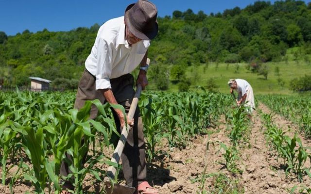 La primera ley de regulación
