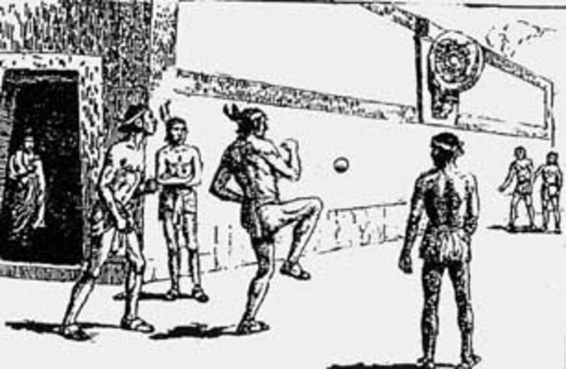 ORGANIZACIÓN POLÍTICA Y SOCIAL