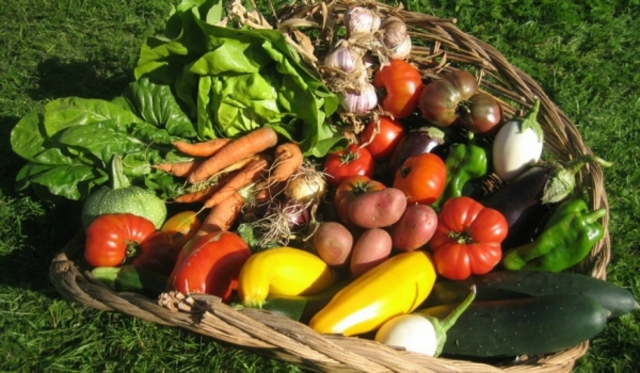 La castaña, el melón, el pepino.