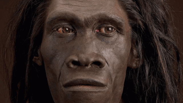 Homo erectus (300 mil años)