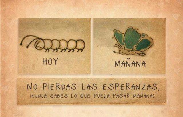 ABANDONÉ EL PROFESORADO EN BIOLOGÍA