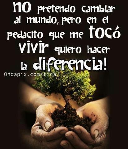 RETOMÉ EL PROFESORADO EN BIOLOGÍA!!!