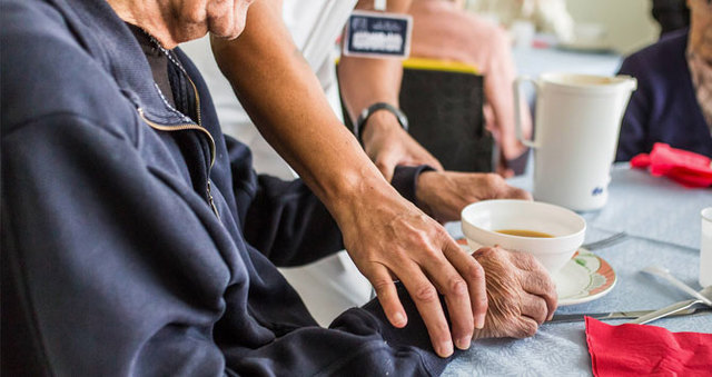 Nomenament de Guifré el Pelós