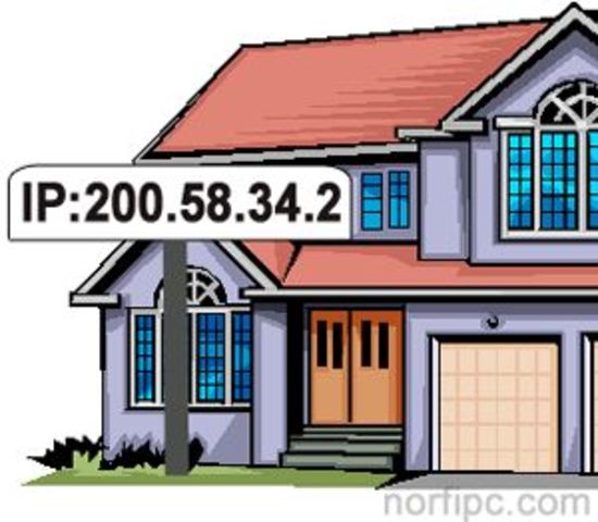 IP (Internet Protocol)