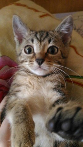 Первое селфи