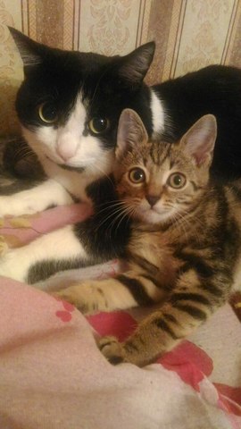 Друг - он всегда рядом