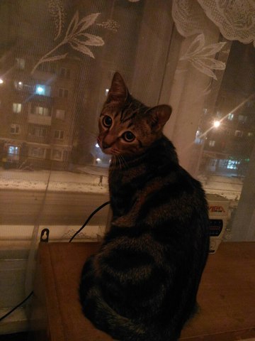 Поиск себя.