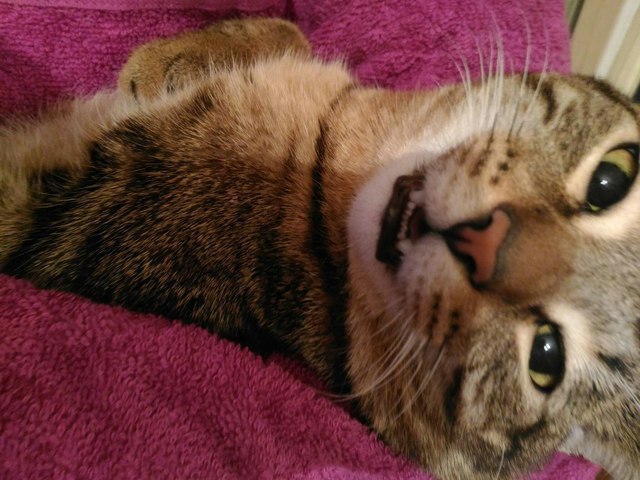 Достоинство