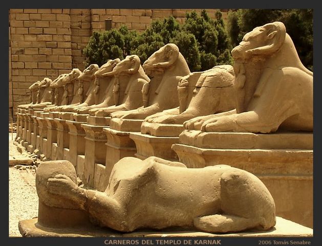 Egipto y sus Templos