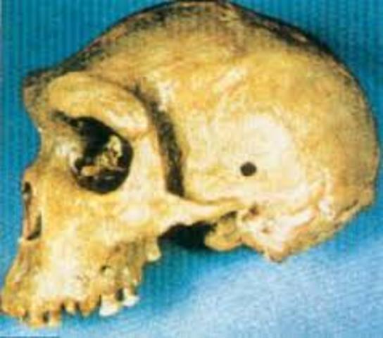 Ramón y Francisco Arango