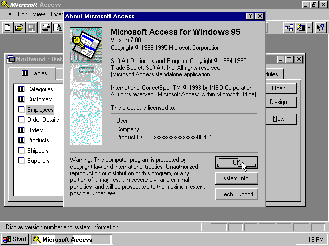 Access 95