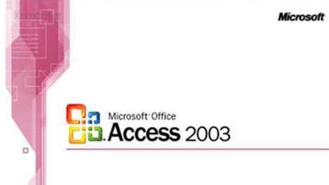 Versión 11.0 (Microsoft Office 2003)