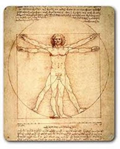 Tratado de anatomía, Leonardo da Vinci-Marcantonio della torre.