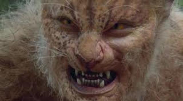 Discovery of the Rabbit