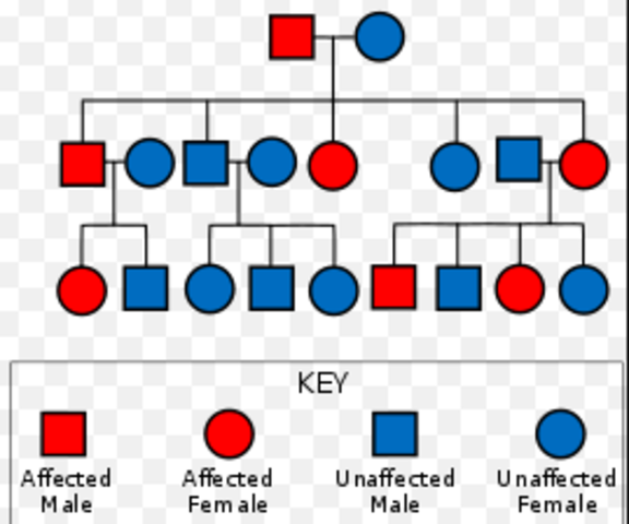 F Galton demonstrates the usefulness of twin studies for elucidating the relative influence of nature (heredity) and nurture (environment) upon behavioural traits