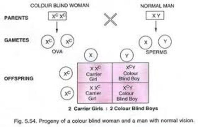 J Horner shows that colour-blindness is an inherited disease