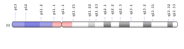 Discovery: Chromosome 22 Sequenced