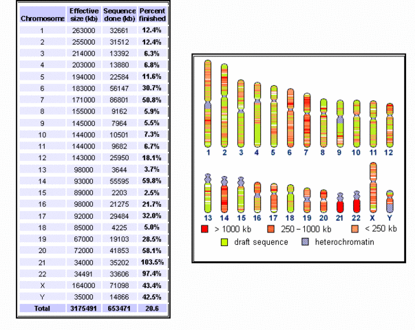 Discovery: Completion of the Human Genome Sequencing