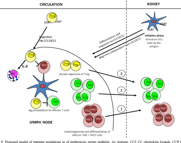 Experimental demonstration of adaptive immunity