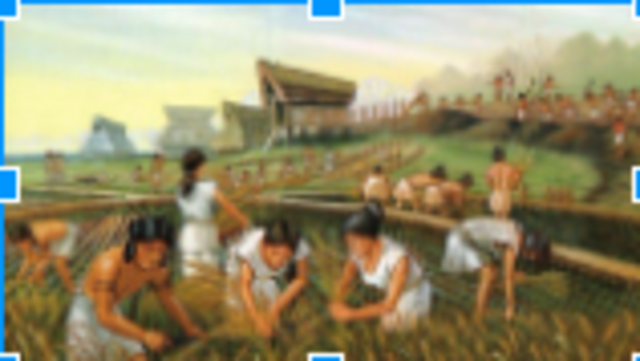 Olmec Hunting and Farming