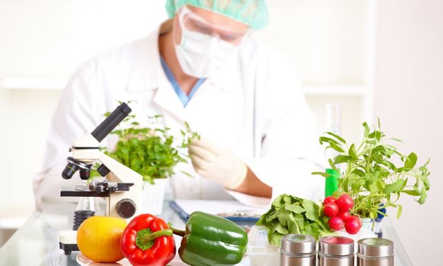 La quimica y los alimentos