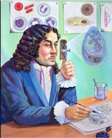 Leeuwenhoek