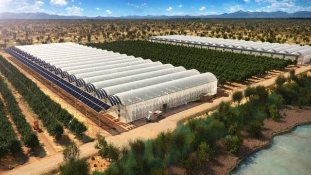 Un oasis agrícola junto al mar. CARLOS LAORDEN Los invernaderos de agua marina permiten aprovechar el vapor de los mares y la energía solar para cultivar vegetales
