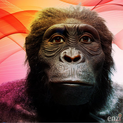 AUSTRALOPITHECUS ANAMENSIS (4 ma)