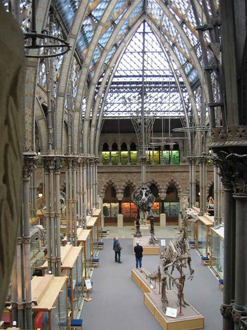 Museo de la Historia Natural de Oxford