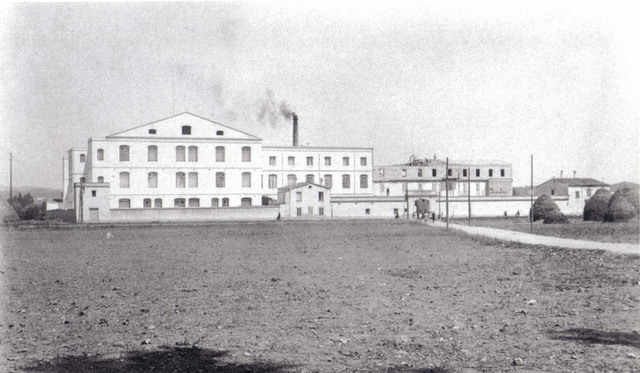 Col·lectivització Coma Cros