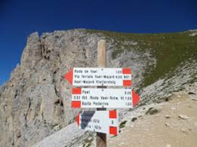 Albe in malga - Malga Vael