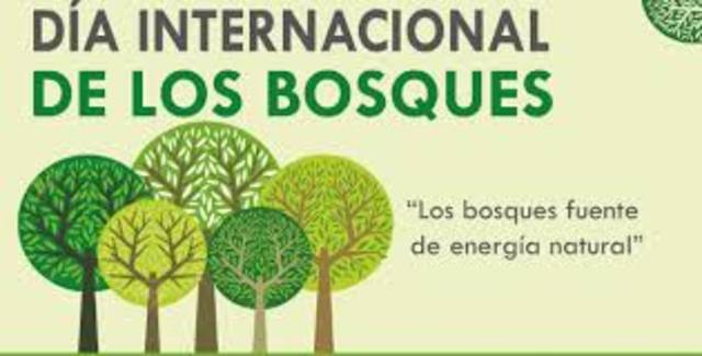 Los Bosques