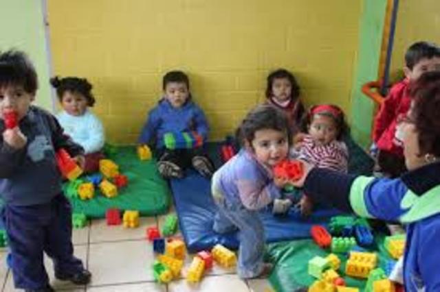 Un año en el jardín