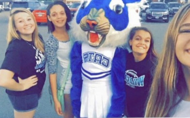 Convertirse En Un Gato Montés AJ!