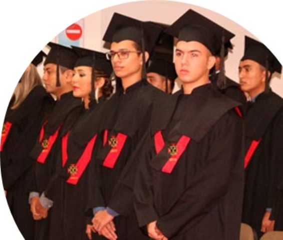 Situación laboral egresados (2016)