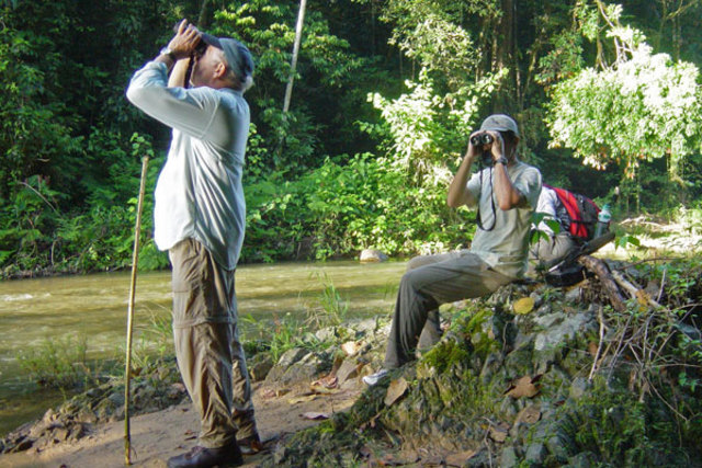 Ecotourism: Traveling to Heaven