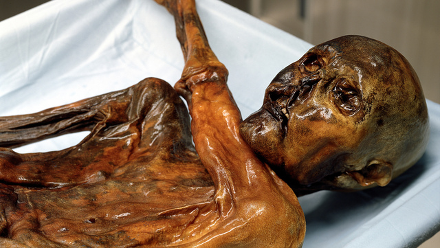 Mummies: Ancient Egyptian's Afterlife