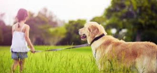 primera mascota lolita