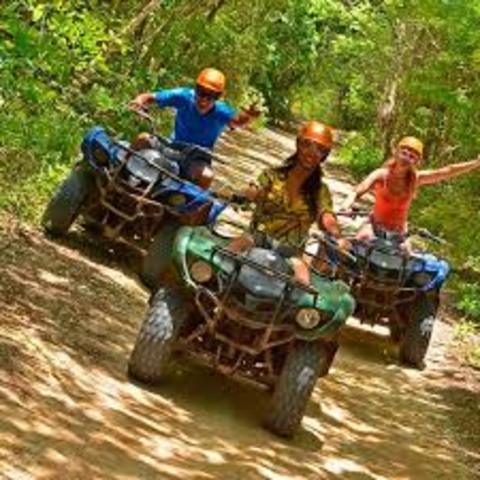 nos fuimos a vivir a utica