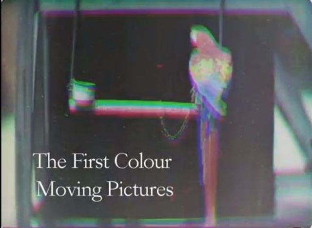 Introduzione del colore