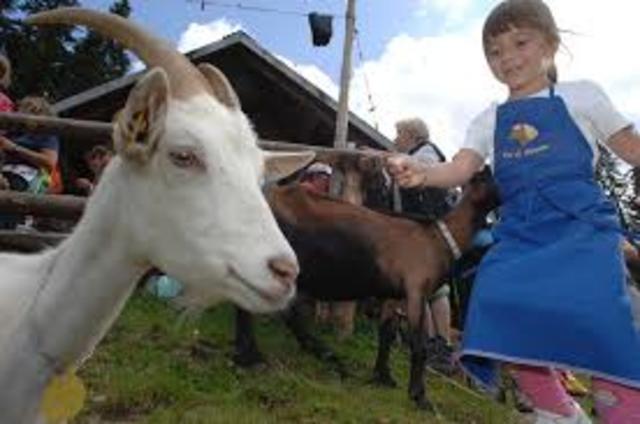 Montegar le caore come sti ani