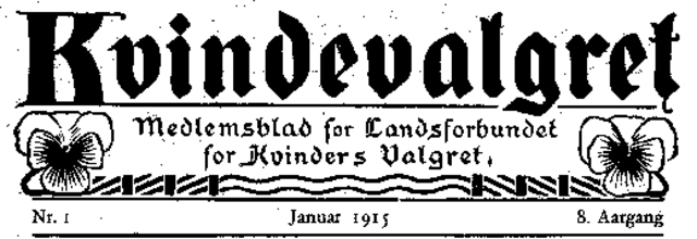 Paraplyorganisationen dannede Landsforbundet for Kvinders Valgret