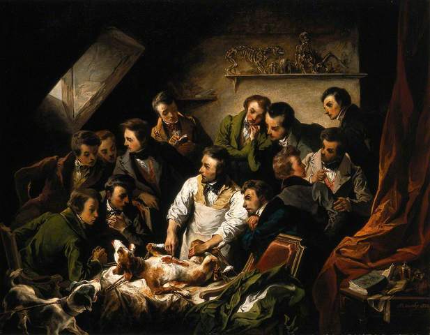 Investigaciones de Galeno.