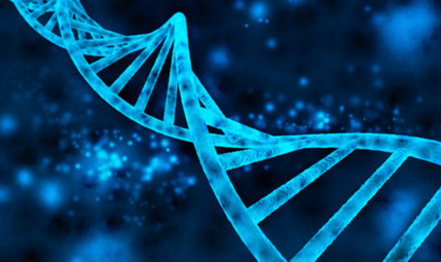 Publicación del artículo de Gregor Mendel que da inicio a los estudios sobre genética.