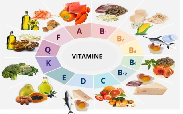 Frederick Gowland Hopkins describe las vitaminas y propone su carencia como causa de algunas enfermedades