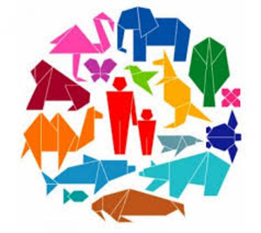 Protocolo Ambiental de Cartagena